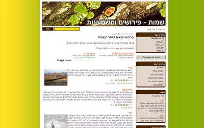 אינשם - אתר פירושים ומשמעויות של שמות אינשם - אתר פירושים ומשמעויות של שמות